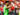 Leverkusen Siapkan €50 Juta untuk Tebus Mohamed Amoura dari Wolfsburg
