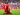 Lupakan Kane & Rooney, Messi Sebut Steven Gerrard Pemain Terbaik Inggris