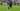 Manuel Akanji dan Sommer Jadi Kambing Hitam Kekalahan Inter