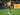 Marius Wolf Buka Peluang Cabut dari Dortmund di Musim Panas 2024