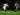 Menang 2-1, Aston Villa Singkirkan Wycombe Wanderers di Piala Carabao