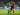 Milan Bakal Hadapi Dua Klub Bundesliga Dalam Perburuan Winger Bremen