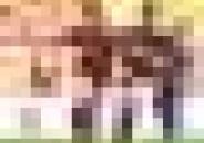 Mitra Kukar Punya Motivasi Untuk Taklukkan Persegres