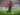 Nggak Lagi di Sayap, Chaka Traore Kini Main di Gelandang Tengah