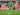 Nico Elvedi Ingin Memperpanjang Kontraknya di Borussia Monchengladbach