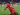 Momen Pertama Kali Ralf Rangnick Temukan Bakat Ibrahima Konate