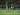 Pelatih PSMS Medan Kecewa Berat dengan Kepemimpinan Wasit
