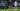 Pelatih Werder Bremen Kritik Permainan Boniface Lawan Freiburg