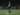 Pemain Bali United Diminta Tak Hanya Fokus Terhadap Alex Dos Santos