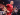 Pensiun dari Sepakbola, Ribery Diundang Duel dengan Legenda Dunia di Seoul