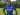 Perekrutan Ke-12, Chiedozie Ogbene Resmi Bergabung dengan Ipswich Town