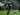 Persebaya Surabaya Akan Putuskan Masa Depan Paul Munster di Akhir Musim