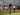 Persija Belum Mampu Menang, Dutra Tetap Percaya Dengan Taktik Alessio