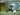 Klub MLS, Portland Timbers Rekrut Kiper 5 Tahun Pengidap Kanker
