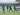 PSS Sleman Dipastikan Pincang di Pertandingan Kontra Madura United
