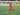 Raja Assist Liga 1 Bicara Tugasnya Sebagai Kapten Bali United