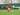 Ramai Rumakiek Acuhkan Shin Tae-yong, Dicoret Dari Timnas Indonesia U-23