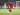 Ryo Matsumura Ingin Bawa Persija Jakarta Menang di Markas Mantan Tim