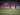 Saddil Harapkan Suporter Timnas Indonesia Tetap Berikan Dukungan Penuh