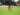 Semen Padang FC 3-3 Aceh United, Posisi Kabau Sirah Makin Sulit