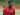 Solskjaer Janjikan Menit Bermain pada Teden Mengi dan Para Pemain Akademi