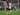 Southampton Gagal Manfaatkan Jadwal Mudah, Ini Komentar Yoshida