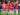 Sturm Graz vs Girona, Fakta Menarik Jelang Duel Liga Champions