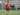 Semen Padang Puas dengan Latihan Perdana Gelandang Pinjaman dari Sriwijaya FC