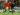 Tak Main Penuh vs Nigeria, Serhou Guirassy Berpeluang Absen di Piala Afrika