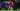 Terlalu Gandrung Pada Mason Mount, Ruben Amorim Disemprot Roy Keane