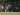 The Jakmania Saksikan Latihan Persija Jakarta, Thomas Doll Terkesima