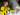 Thorgan Hazard Indikasikan Ingin Tinggalkan Dortmund Musim Panas Ini