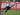 Tinggalkan Bayern, Nasib Christian Fruchtl Lebih Tragis Bersama Nurnberg