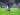Tottenham Mulai Usahakan Transfer Ketiga Musim Ini, Gelandang Toulouse?