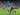Update Kebugaran Pemain Jelang Man City vs Newcastle di Premier League