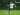 Vasco Walz Tanda Tangan Perpanjangan Kontrak Dengan Borussia Dortmund