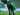 Tahith Chong Jarang Bermain, Werder Bremen Bantah Ada Kekhawatiran