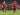 West Ham United Tertarik, Jefferson Lerma Ingin Main di Luar Inggris
