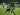 Wilkson Belum Puas Dengan 2 Gol Di Laga Debutnya Bersama Persebaya Surabaya