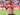 Wilson Isidor Hepi Bantu Sunderland Kalahkan Brentford