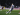 Wolfsburg Salip Frankfurt untuk Boyong Konstantinos Koulierakis