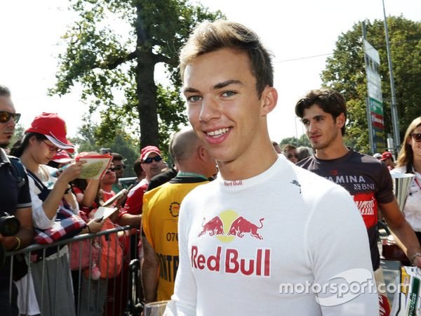 Berita F1: Penasihat Red Bull Sanggah Adanya Pergantian Pengendara di GP Singapura