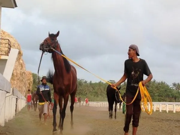 Berita PON XIX 2016: Soal Wildcard, Sembilan Provinsi Gugat ke Dewan Hakim PB PON