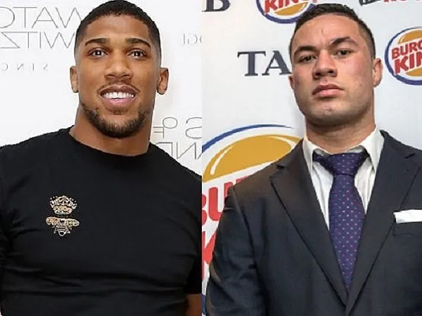 Duel Parker vs Joshua Dijadwalkan Digelar Juli 2018