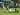 Steven Thompson Sebut Scott Sinclair Berpeluang Tinggalkan Celtic