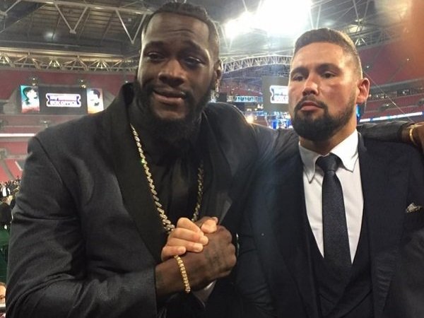 Bellew Yakin Wilder Akan Kalahkan Fury di Bawah Tiga Ronde