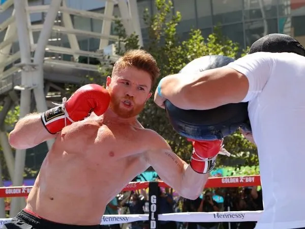 WBC Izinkan Canelo Pertahankan Gelar Sukarela pada Desember