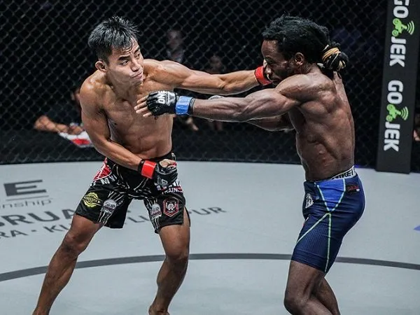 Lawan Robin Catalan, Ajang Pembuktian Stefer Rahadian