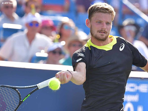 Hadapi Daniil Medvedev, David Goffin Seperti Hadapi Dinding