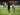 Tingkat Kinerja Herrera Terbukti Spesial Bagi Atletico Madrid